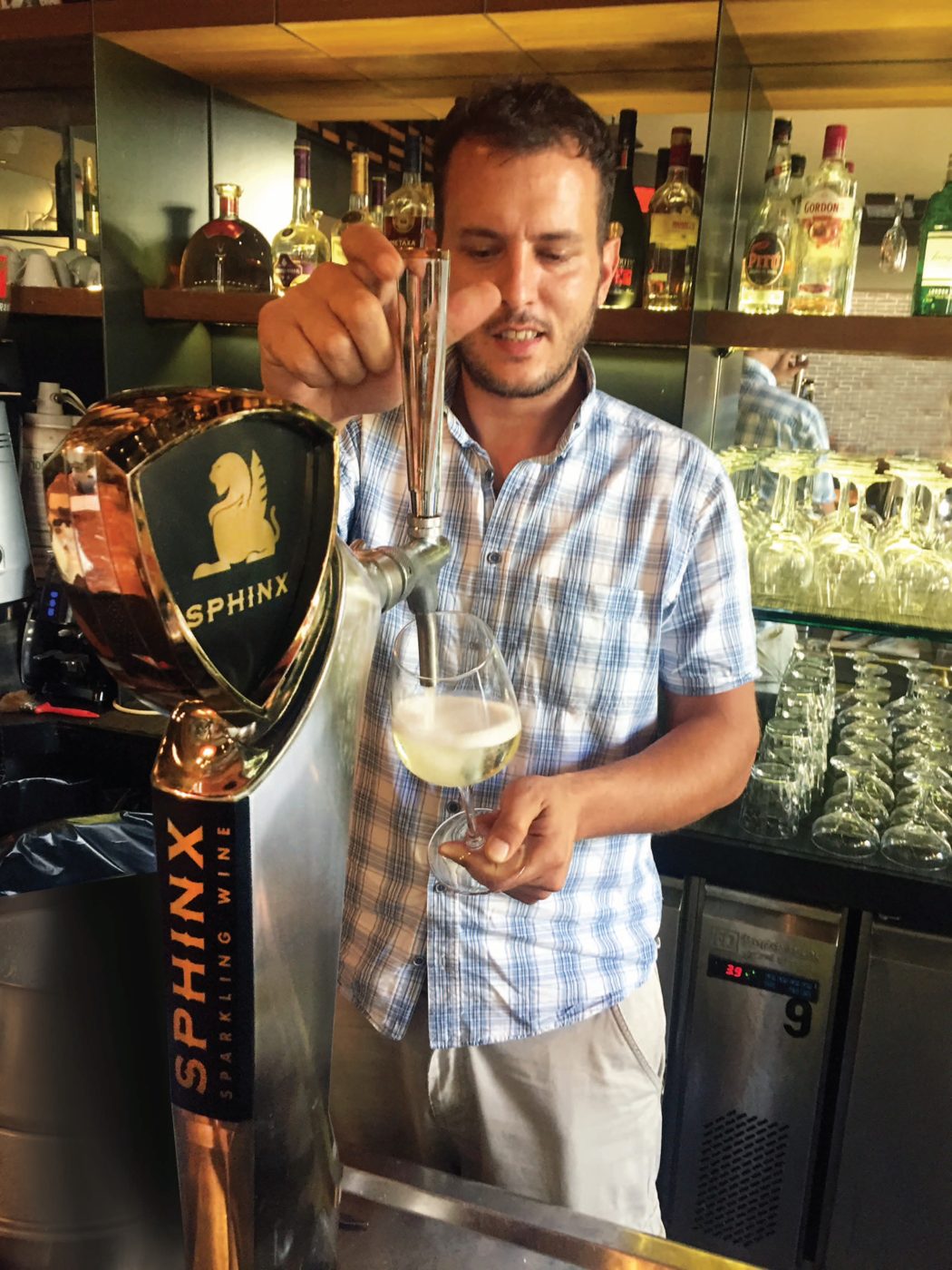 Sphinx served on tap